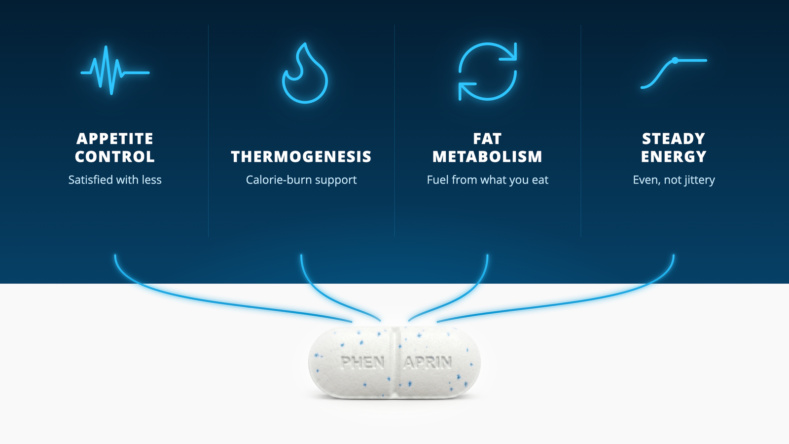 Diagram of a PhenAprin Original tablet supporting four pathways: appetite control, thermogenesis, fat metabolism, and steady energy